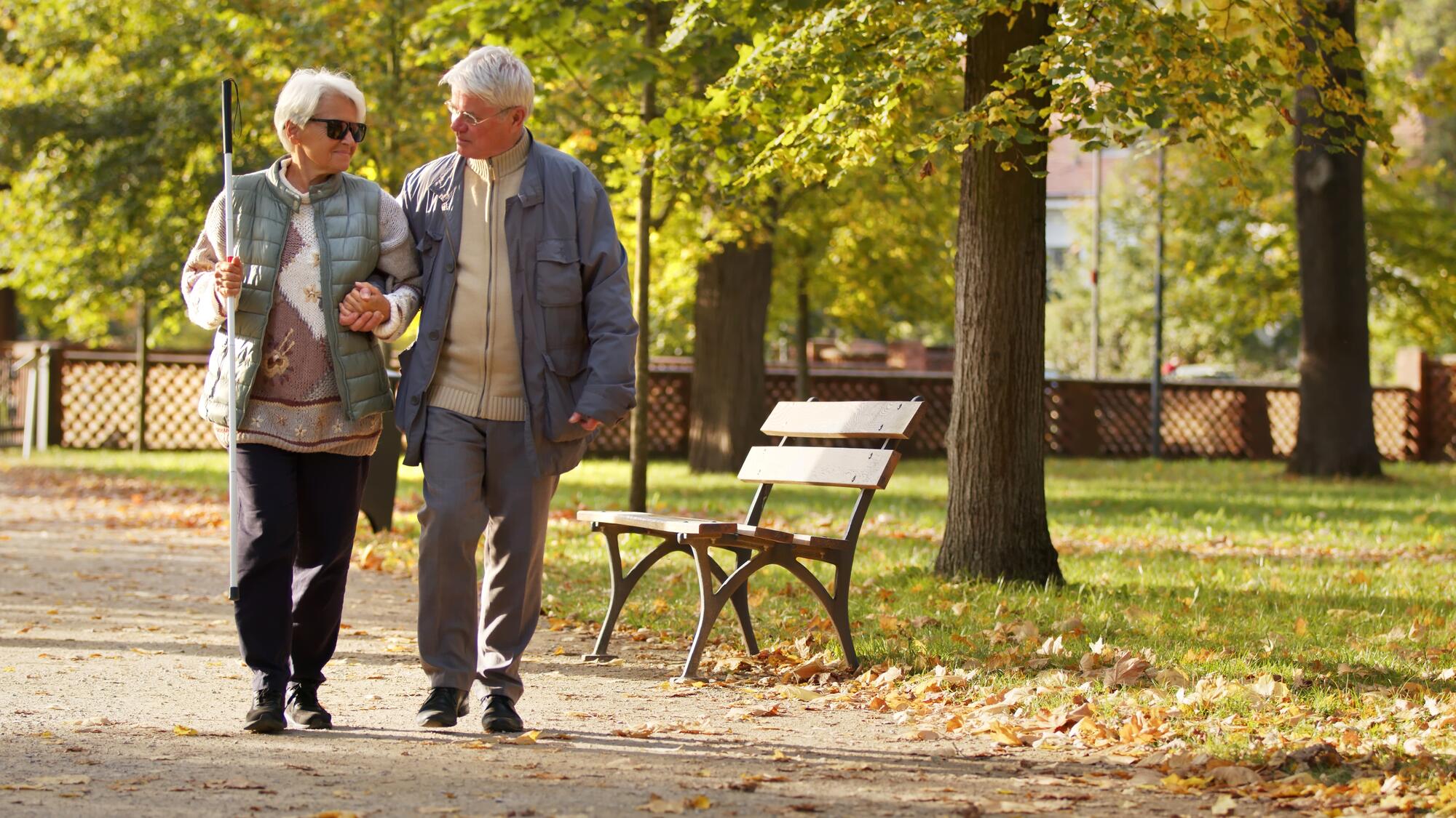 Elderly couple walking in the park